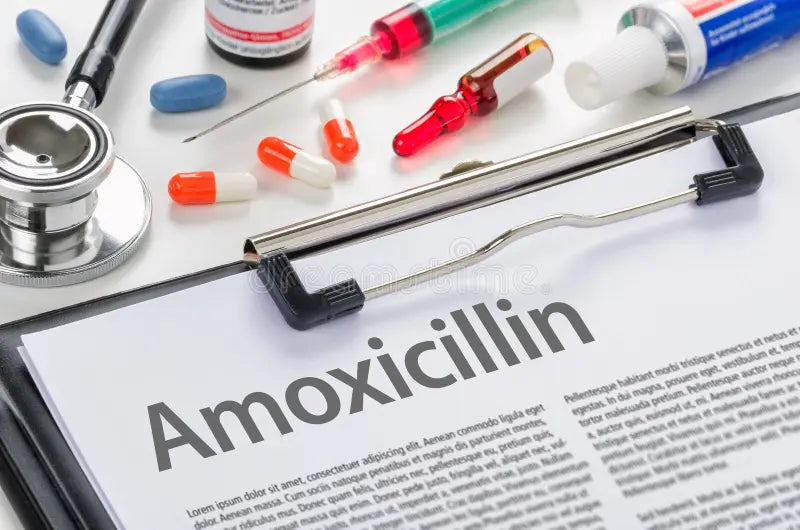 Amoxicillin: A Common Antibiotic for Your Pets