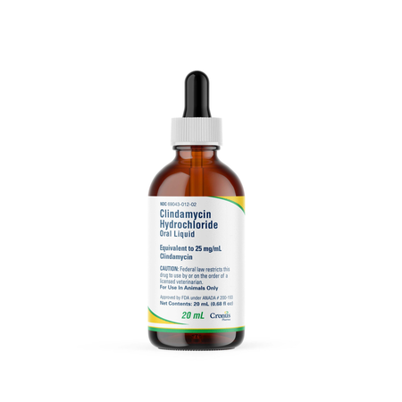 Clindamycin for pets oral liquid in a 20 mL bottle for treating bacterial infections