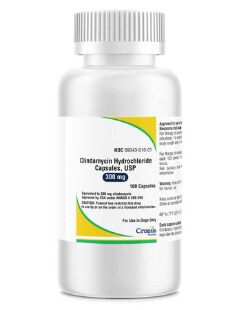 Clindamycin for pets 300 mg capsules in a bottle labeled for canine use with dosage details