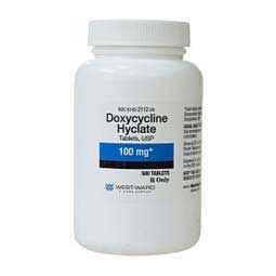 Bottle of Doxycycline for pets 100 mg tablets for treating bacterial infections in animals