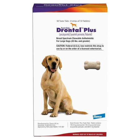 Drontal Plus tablets for dogs packaging with a Labrador Retriever and dosage information