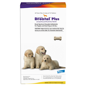 Drontal Plus tablets for dogs in a package of 40 for treating intestinal parasites in puppies and small dogs
