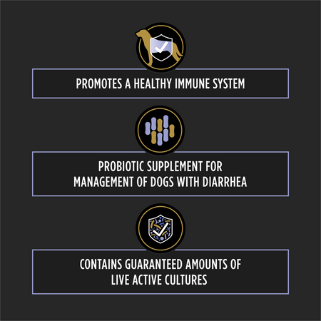 Purina pet digestive health supplement for dogs with probiotics to manage diarrhea and support immunity