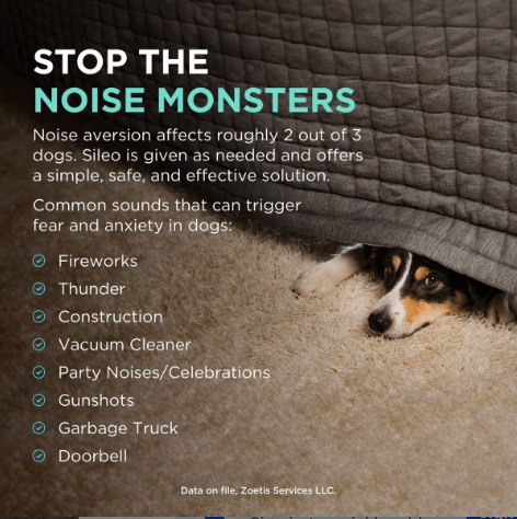 Sileo gel for anxious dogs helps alleviate noise aversion from thunder and fireworks