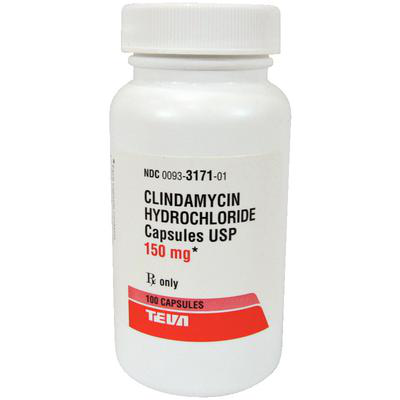 Clindamycin for pets in a 150 mg bottle containing 100 capsules for veterinary use
