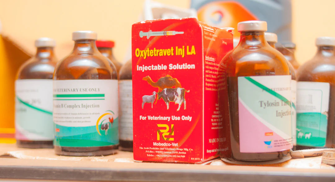 Essential Antibiotics for Infection Control in Pets