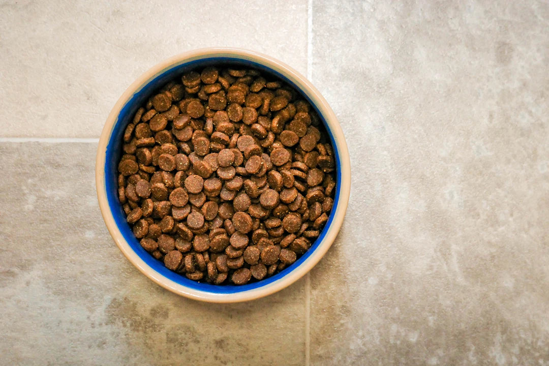 Dental Care Dry Food for Dogs Promoting Oral Health