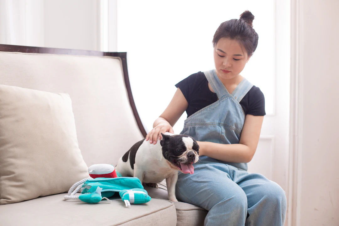 Spotting Illness Signs in Your Beloved Pets
