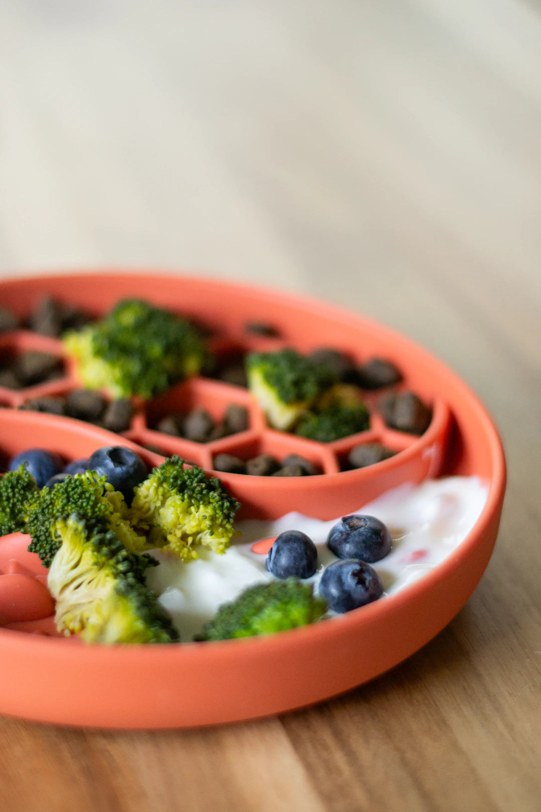 Essential Hydrolyzed Protein Diets for Dogs with Sensitivities