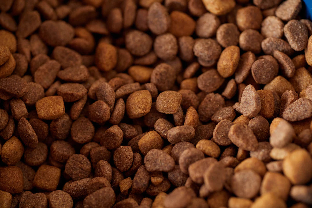 Nutrition Tips for Optimal Pet Health