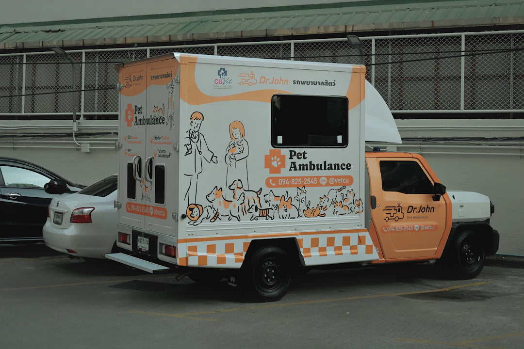 Essential Emergency First Aid Tips for Your Pets