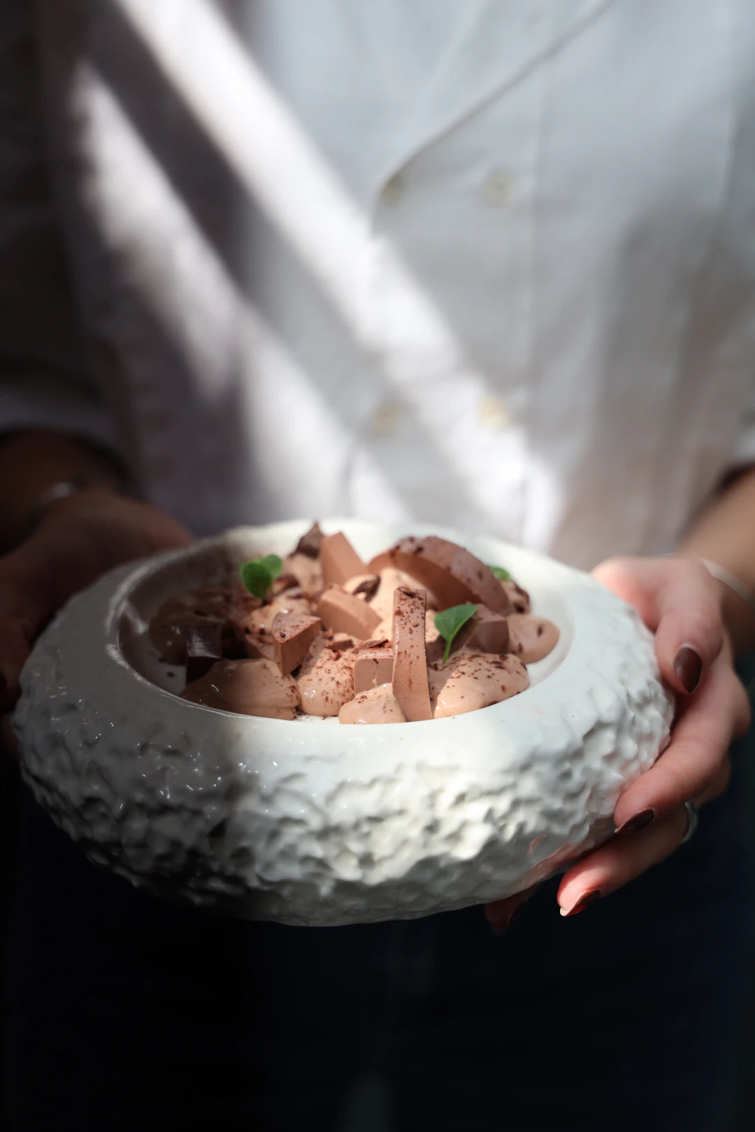 Soft Mousse Diets for Pets in Recovery
