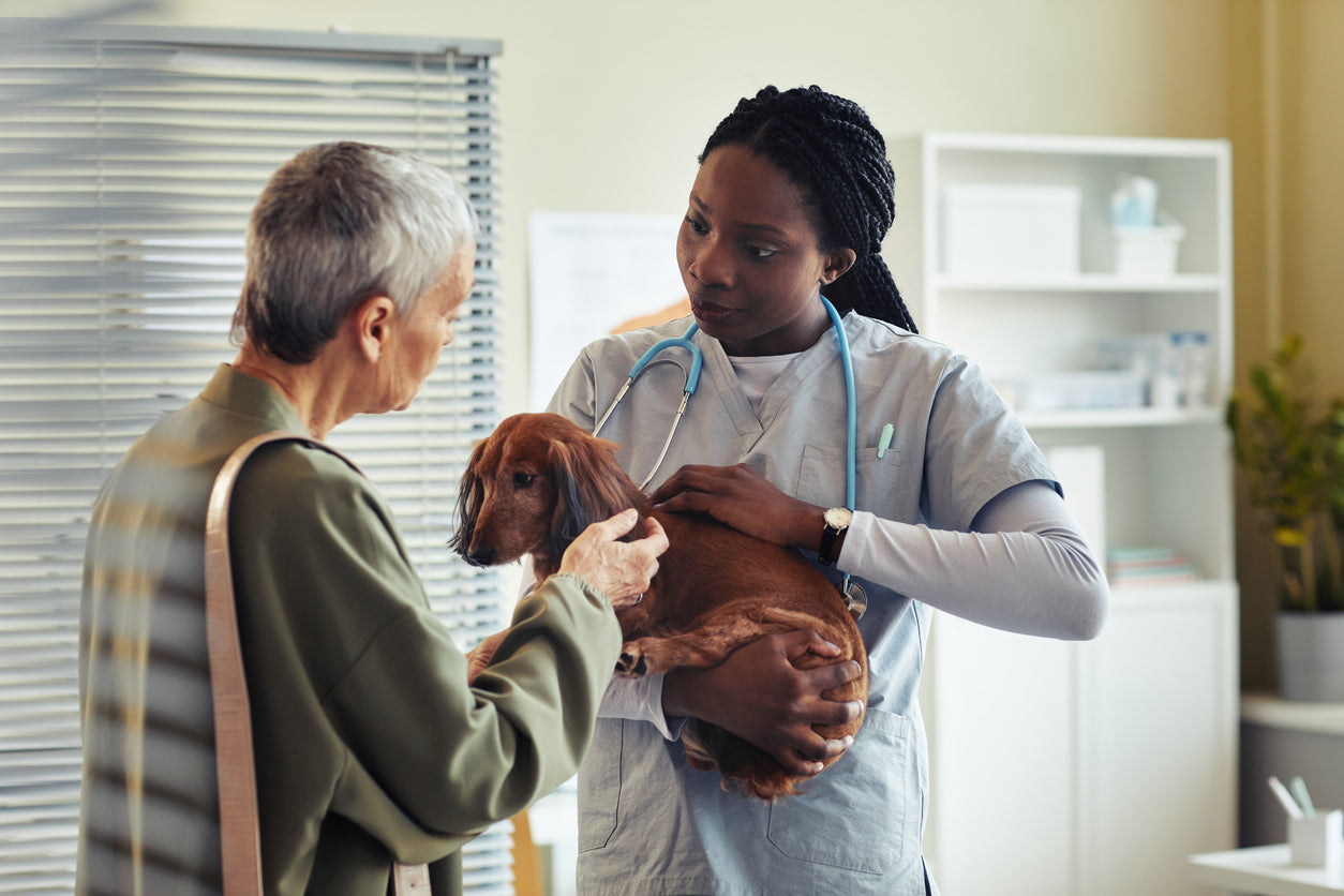 What You Need to Know About Tramadol: The Painkiller That Mostly Doesn't Work (In Dogs)