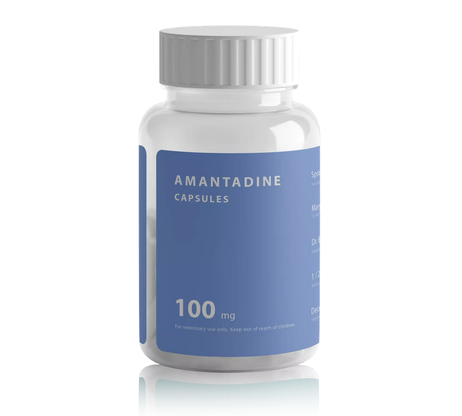 Amantadine HCl Capsule