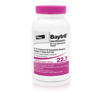 Baytril Purple TabletAn antibacterial tablet used to