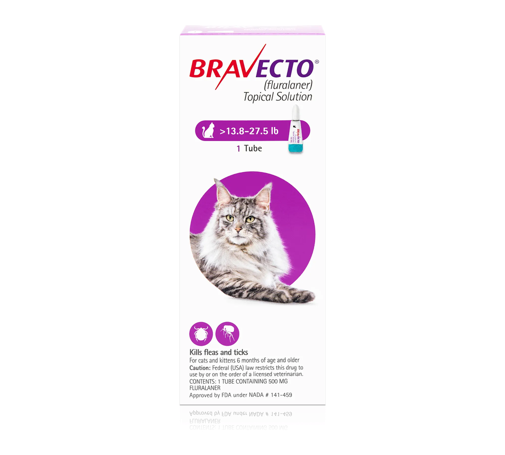 Bravecto Topical Solution for Cats