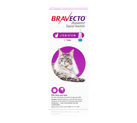 Bravecto Topical Solution for Cats