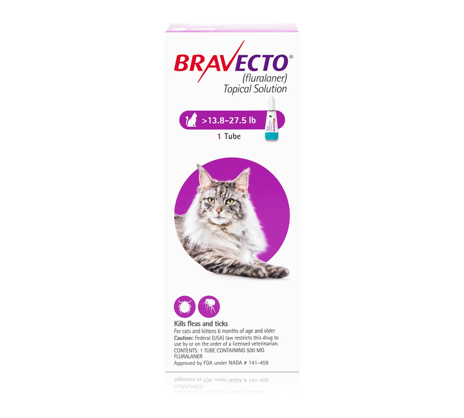Bravecto Topical Solution for Cats