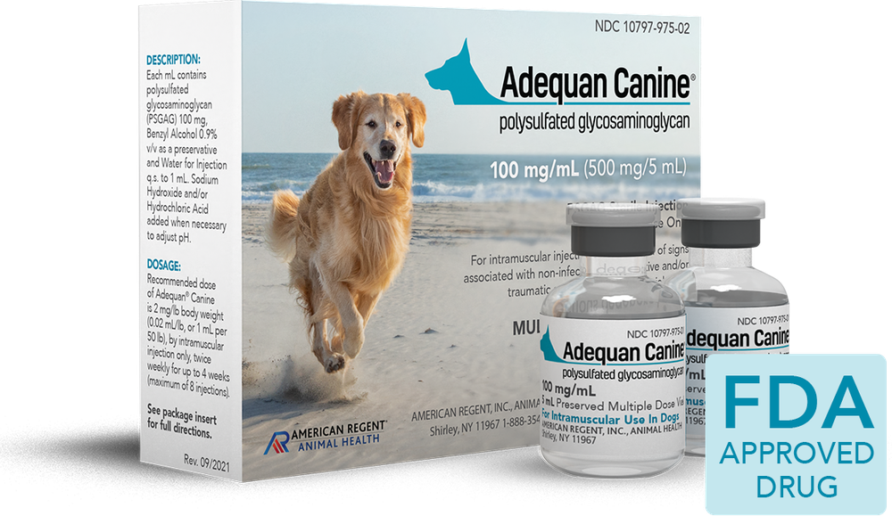 Adequan Canine