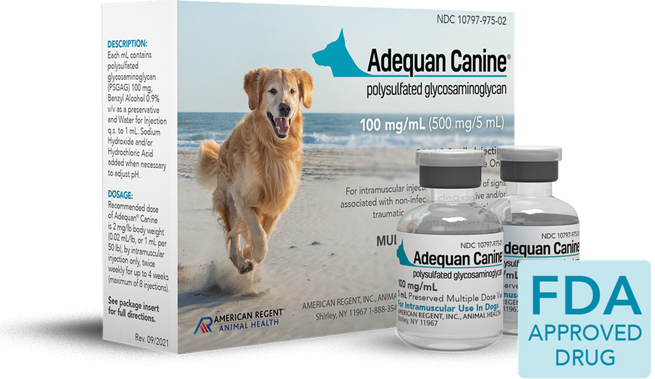 Adequan Canine