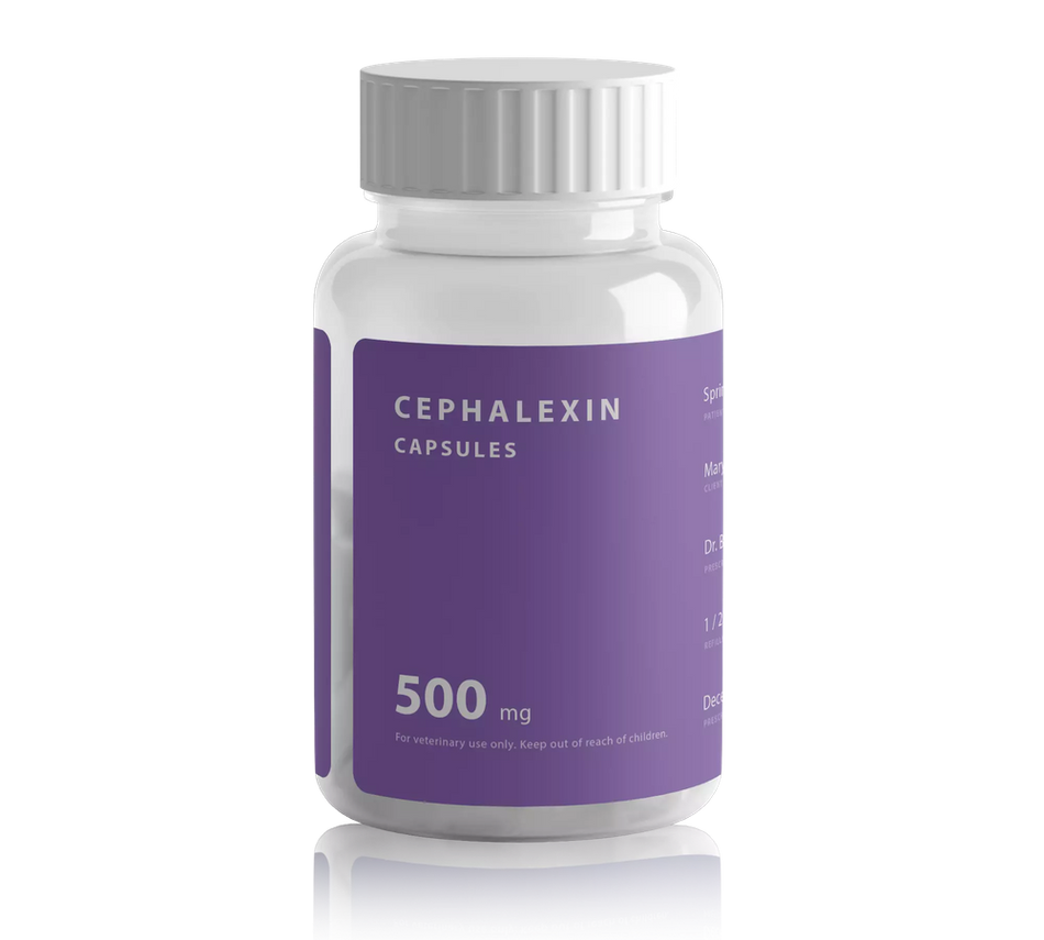 Cephalexin Capsule
