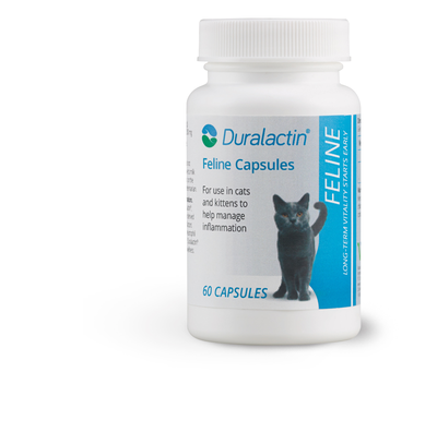 Duralactin Feline CapsulesFor long-term management of chronic