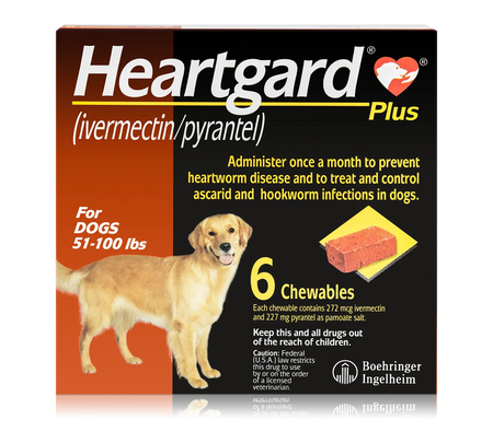 Heartgard Plus Chew for Dogs