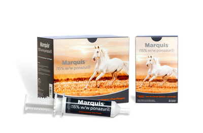 Marquis PasteMARQUIS for horses is indicated for