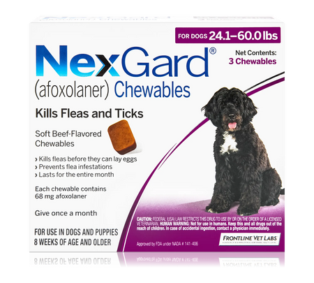 NexGard Chew for Dogs