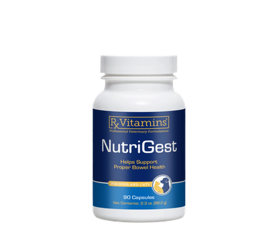 Nutrigest Capsules for Dogs and CatsHelps support