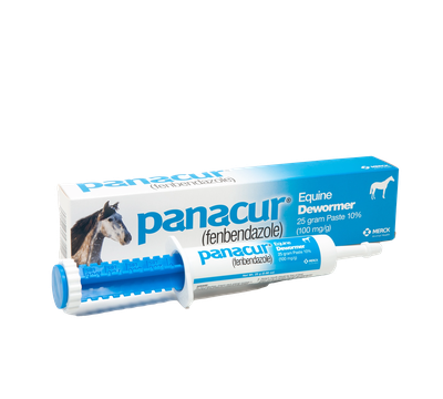 Panacur Equine Paste PowerpacTreats and controls GI