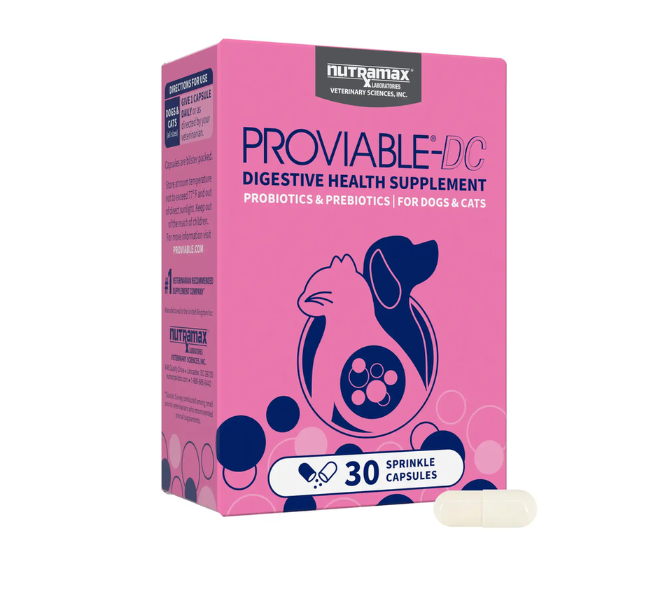 Proviable Probiotic Supplement