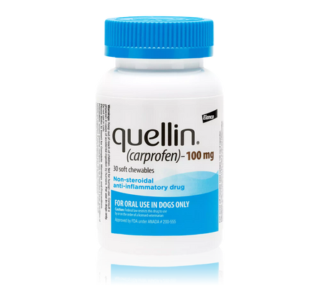 Quellin (carprofen) Soft Chewable Tablets