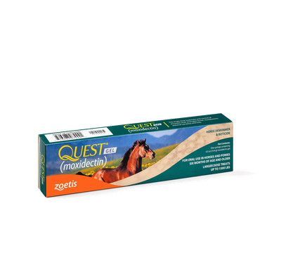 Quest Equine Oral Gel (Moxidectin)Quest Gel (moxidectin)