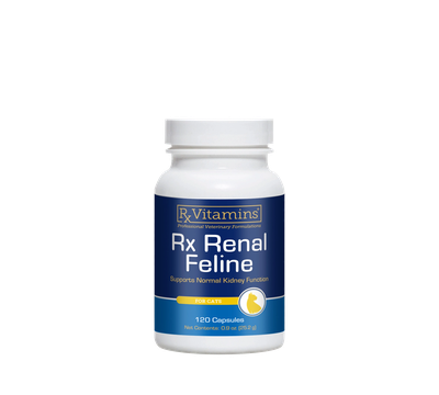 RX Renal Feline CapsulesSupports normal kidney function.