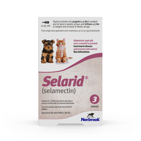 Selarid Puppy / Kitten