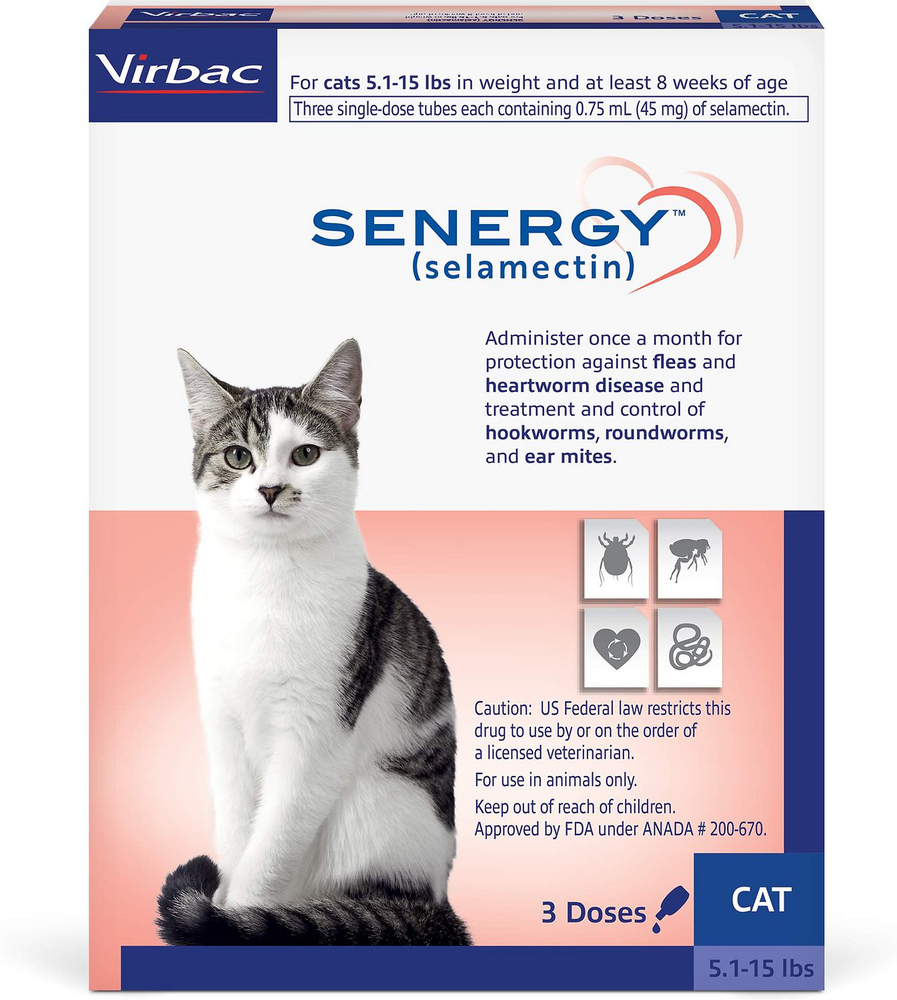 Senergy Cat