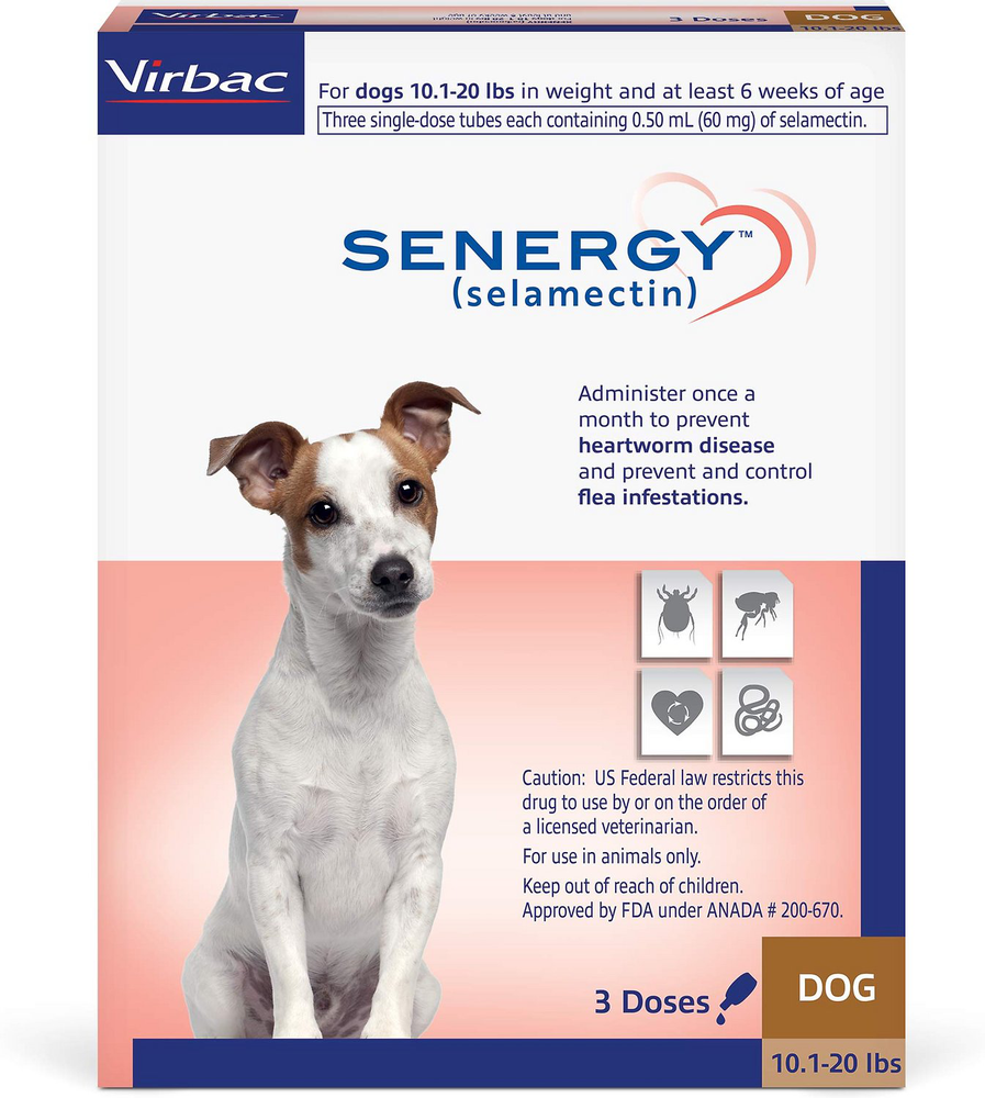 Senergy Dog