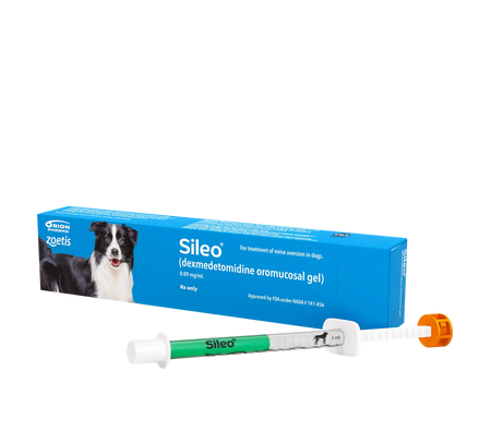 Sileo