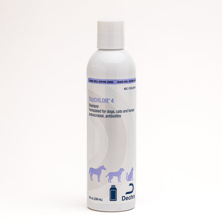 TrizChlor 4 Shampoo