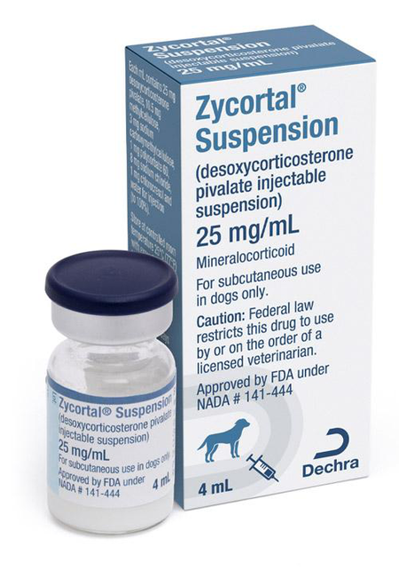 Zycortal Suspension