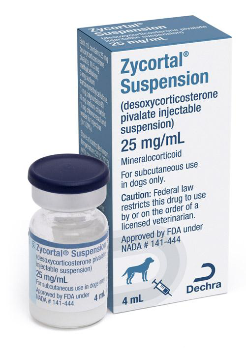 Zycortal Suspension