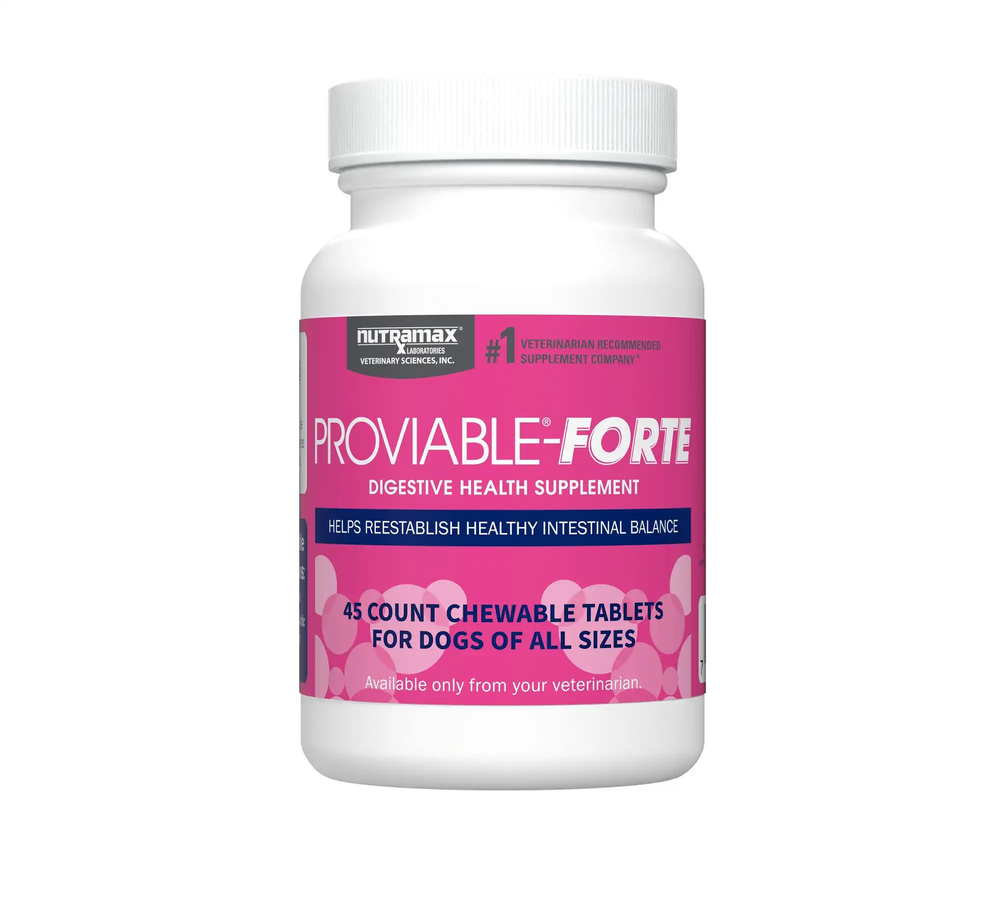 Nutramax Proviable-Forte Chewable Tablets for dogs — 45-count bottle, 10 billion CFU probiotic