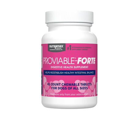 Nutramax Proviable-Forte Chewable Tablets for dogs — 45-count bottle, 10 billion CFU probiotic