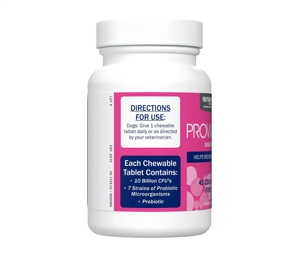 Proviable-Forte Chewable Tablets bottle showing digestive health supplement label