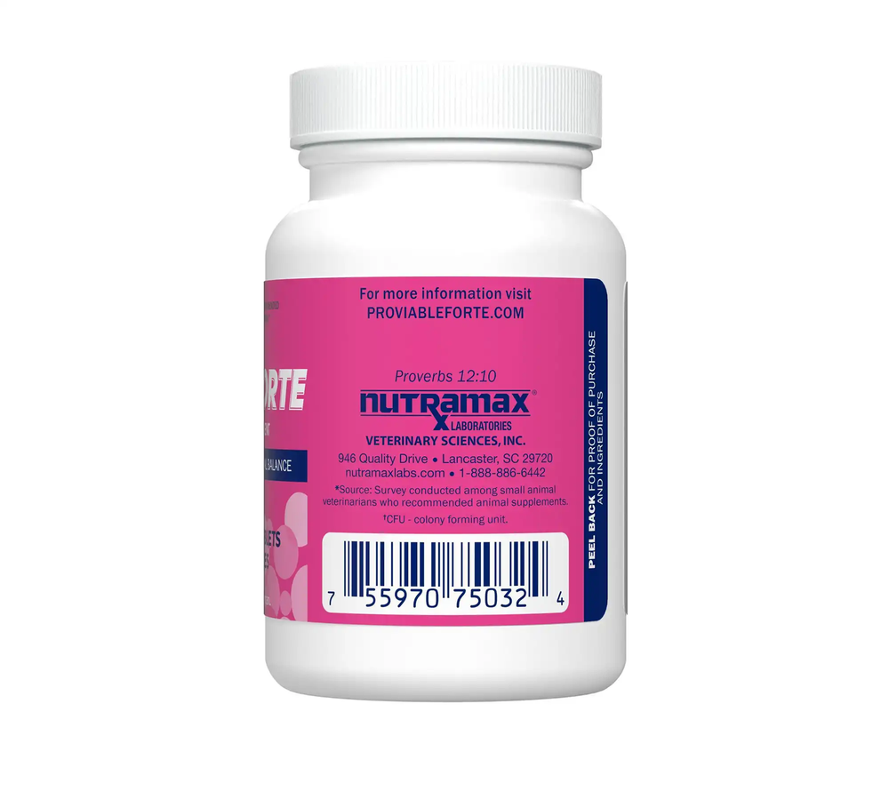 Proviable-Forte Chewable Tablets for dogs of all sizes — 7 probiotic strains plus prebiotics