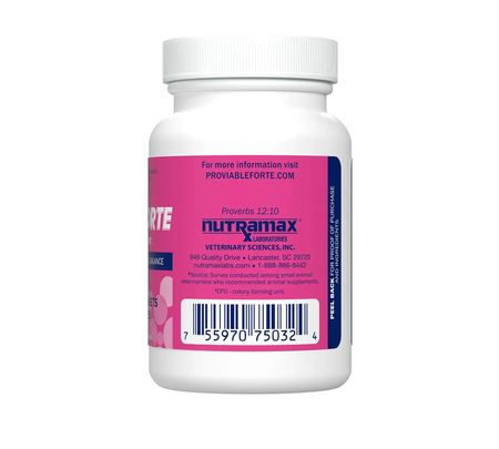 Proviable-Forte Chewable Tablets for dogs of all sizes — 7 probiotic strains plus prebiotics