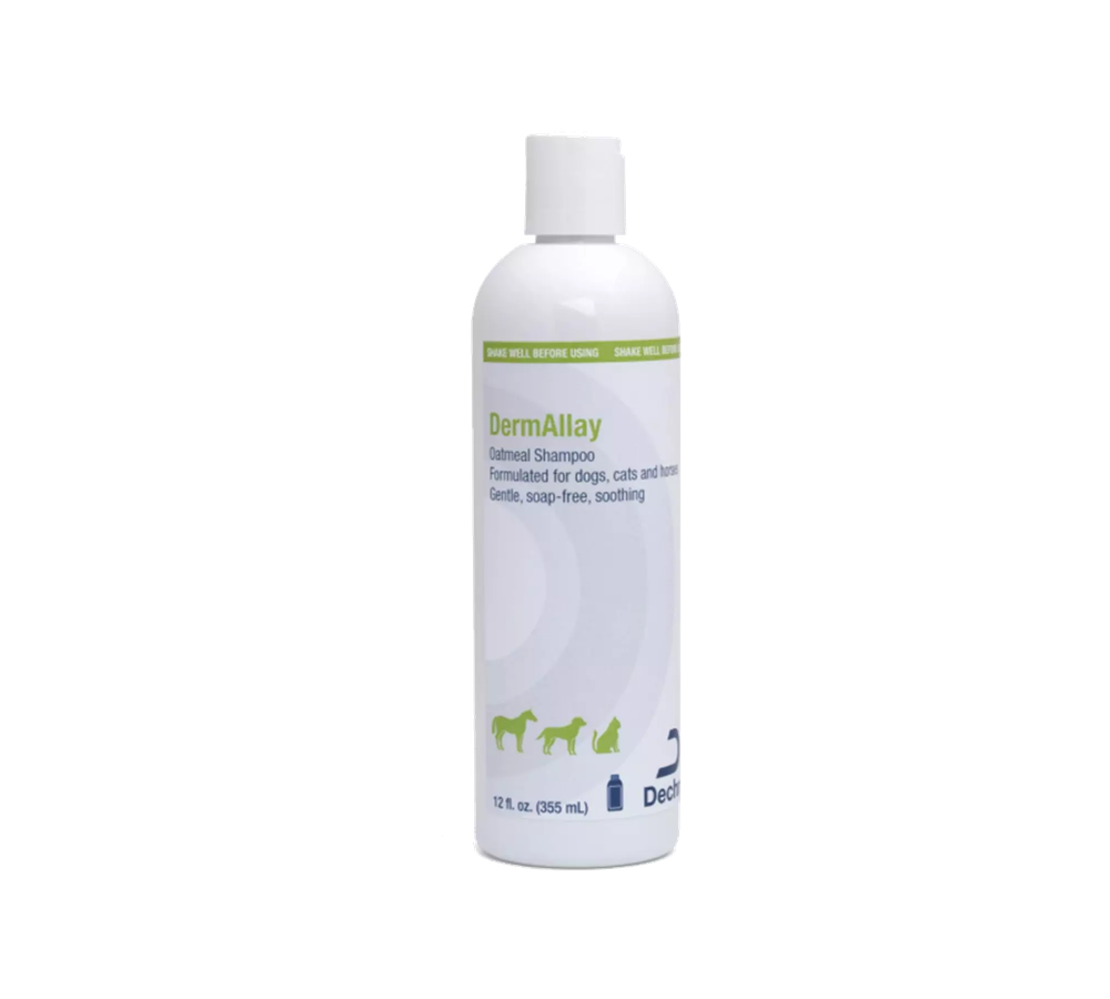 DermAllay Oatmeal Shampoo