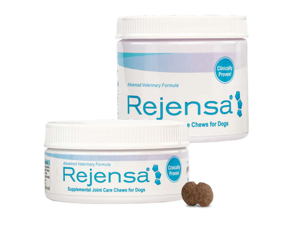 Rejensa Chews for Dogs