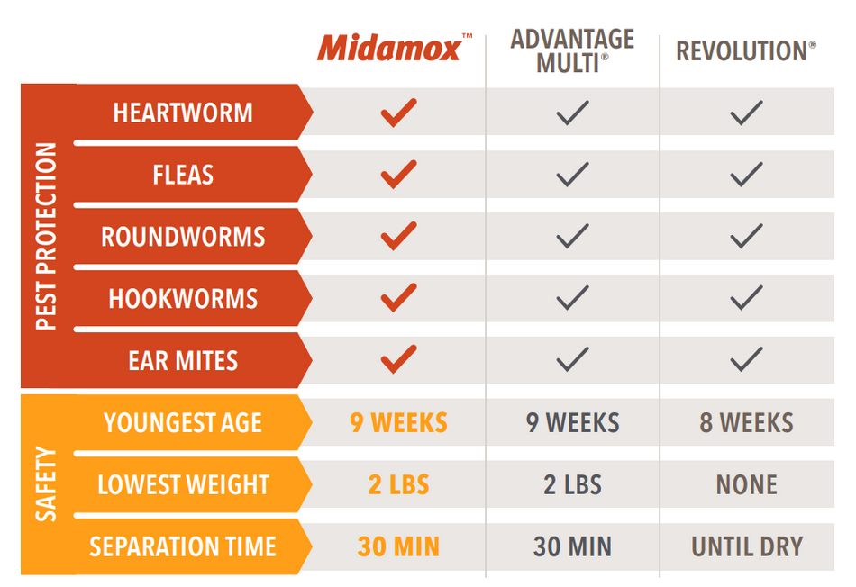 Midamox for Cats